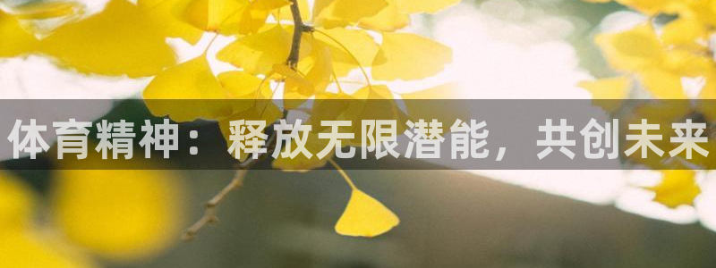 MK体育官网下载招商电话是多少号码：体育精神：释放无