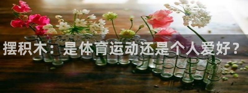MK体育官方正版app科技：摆积木：是体育运动还是个