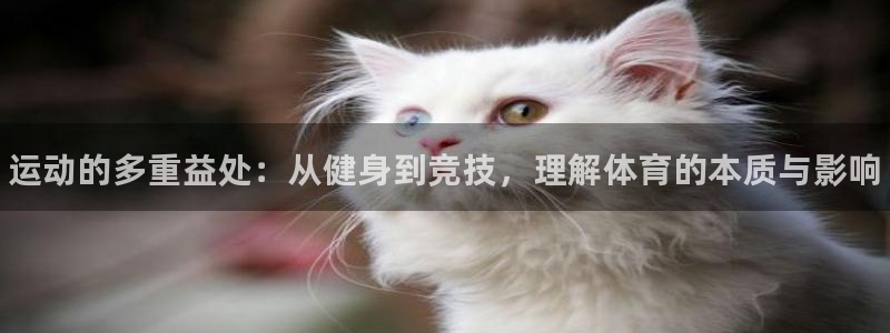 MK体育官方正版app开户：运动的多重益处：从健身到
