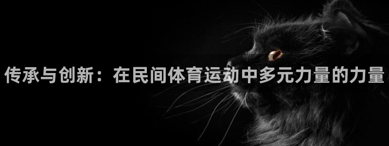 MK体育官方正版app集团官网网址：传承与创新：在民间体育运