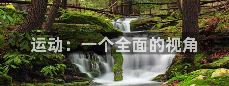 MK体育官网下载平台注册流程图：运动：一个全面的视角