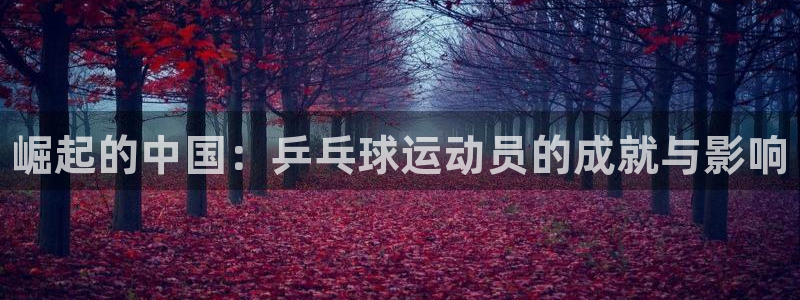 MK体育官方正版app集团E.ON：崛起的中国：乒乓