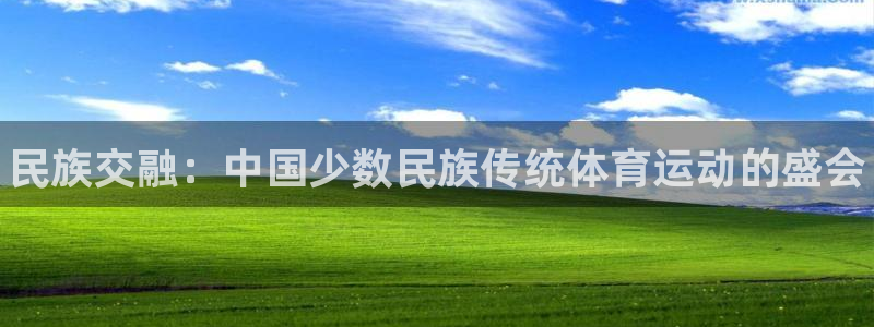 MK体育官方正版app集团官网网址：民族交融：中国少数民族传