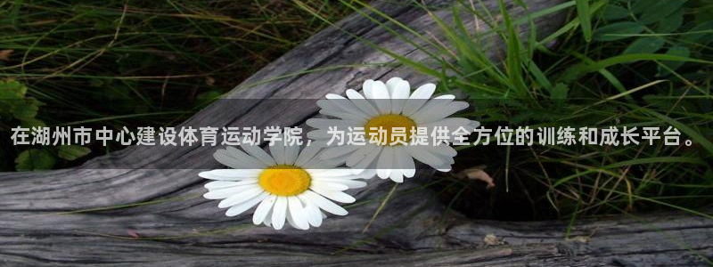 MK体育官网下载招商电话是多少：在湖州市中心建设体育运动学院