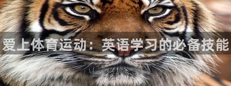MK体育官方正版app五金厂：爱上体育运动：英语学习的必备技