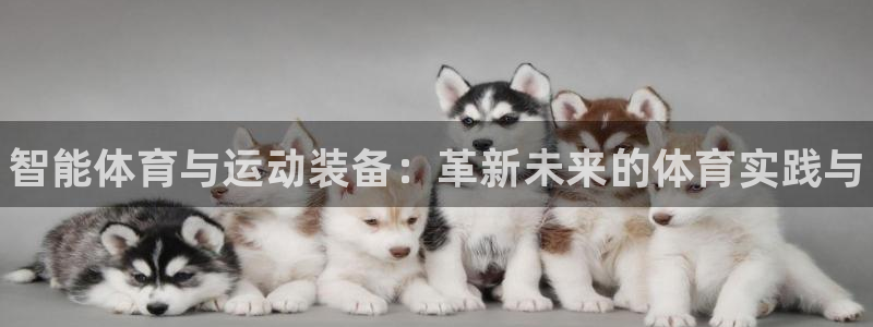 MK体育官网下载招商电话号码查询：智能体育与运动装备：革新未