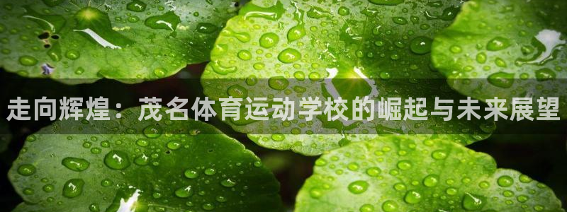 MK体育官网下载平台假的吗是真的吗：走向辉煌：茂名体育运动学
