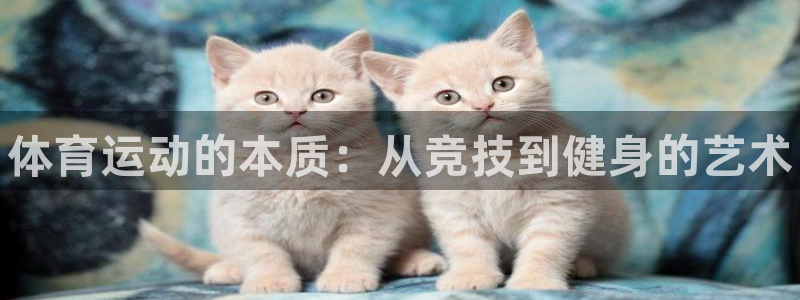 MK体育官方正版app官方：体育运动的本质：从竞技到