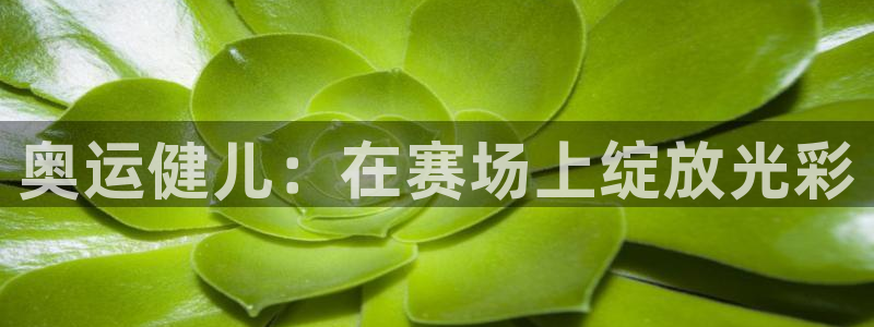 海南MK体育官网下载：奥运健儿：在赛场上绽放光彩