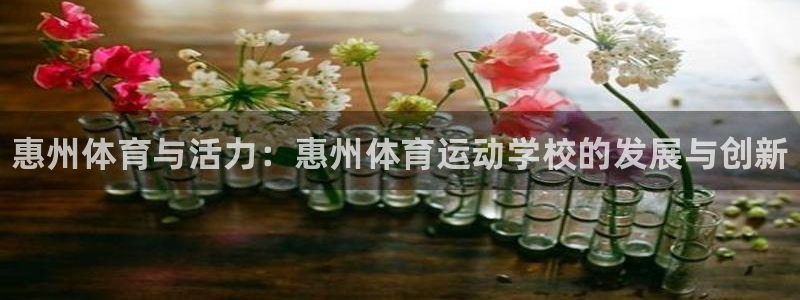 MK体育官方正版app集团E.ON：惠州体育与活力：惠州体育