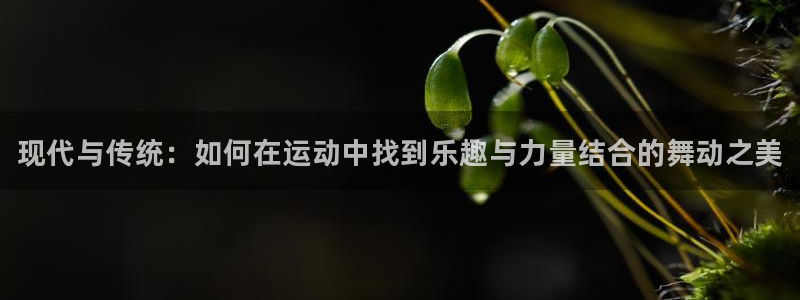 MK体育官方正版app娱乐代理怎么样：现代与传统：如