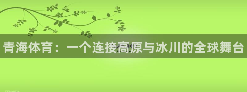 MK体育官网下载是干嘛的公司