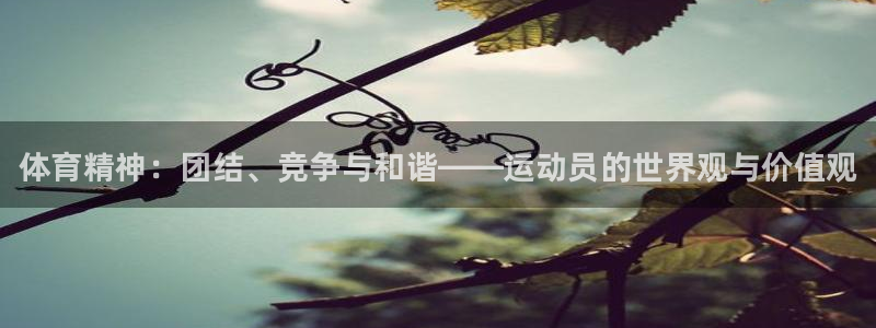 MK体育官网下载招商电话号码是多少：体育精神：团结、竞争与和