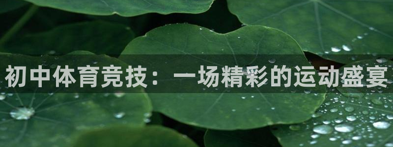MK体育官方正版app娱乐40996：初中体育竞技：一场精彩