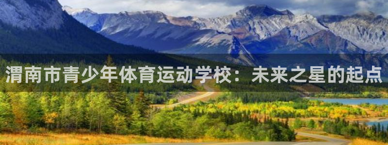 MK体育官方正版app集团logo