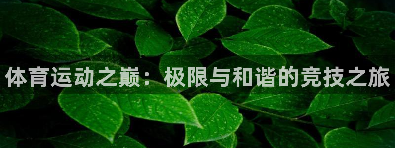 MK体育官网下载招商电话：体育运动之巅：极限与和谐的