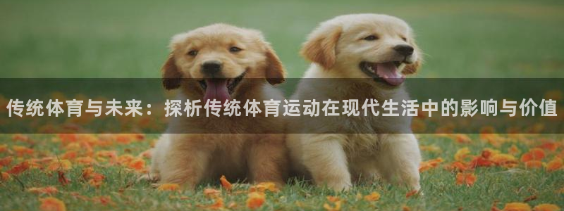MK体育官网下载联系电话：传统体育与未来：探析传统体育运动在