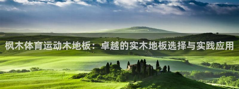 MK体育官方正版app集团官网首页网址：枫木体育运动木地板：