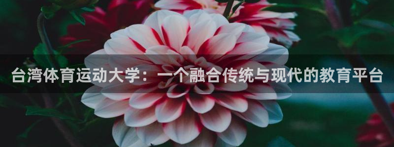 MK体育官网下载平台注册要钱吗安全吗：台湾体育运动大