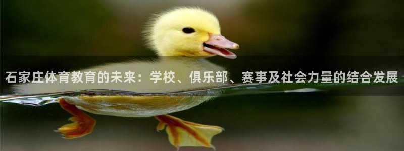 MK体育官网下载开户