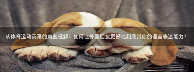 MK体育官方正版app新能源：从体育运动英语的角度理